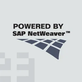 Netweaver